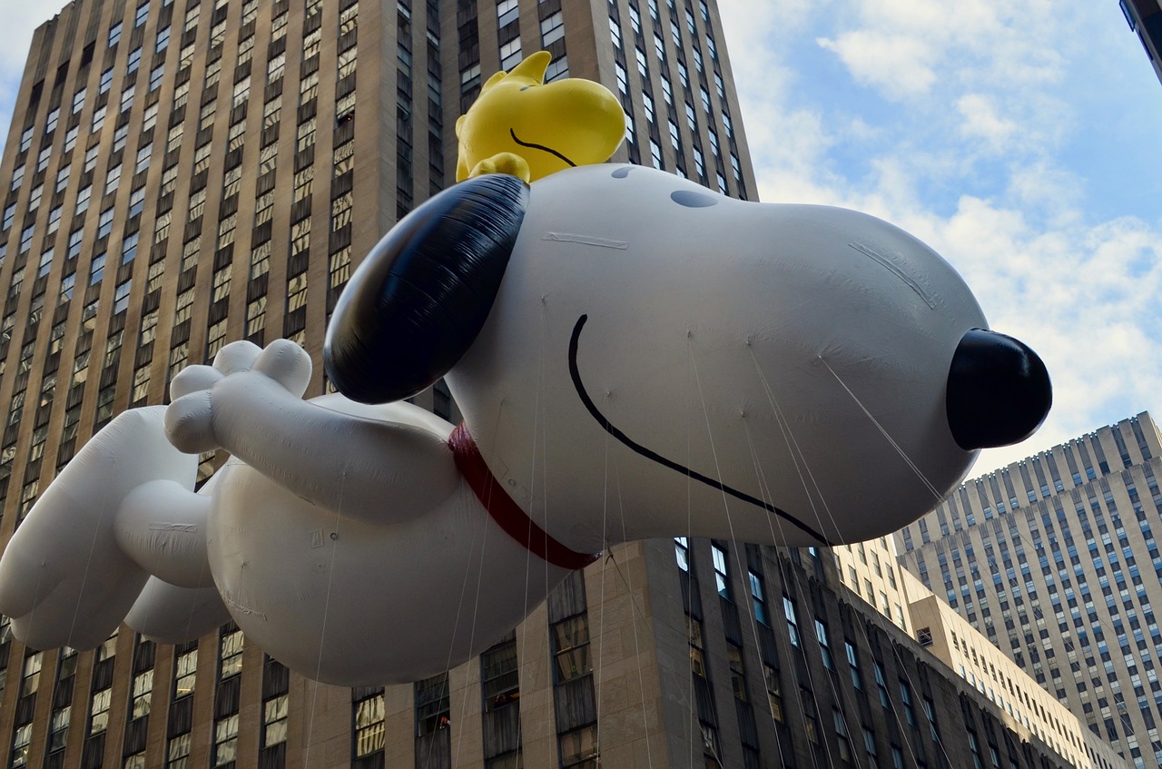 MetLife Final Expense Insurance Reviews Snoopy Picture